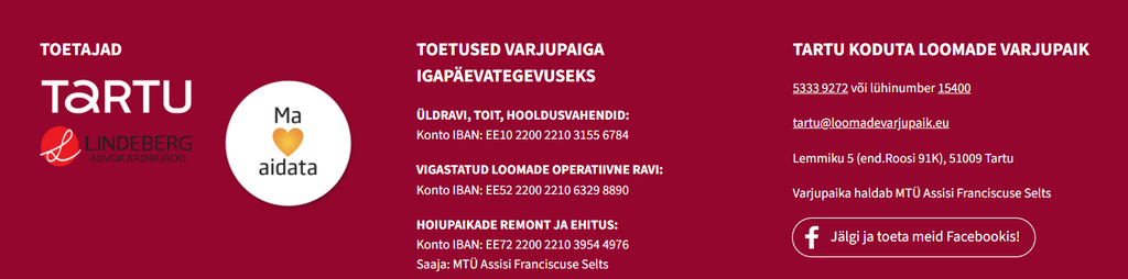 Virmalised või kiirnuudlid? – Unikaalne kunstiteos, kus pintslina on kasutatud kiirnuudleid (50% tulust heategevuseks)