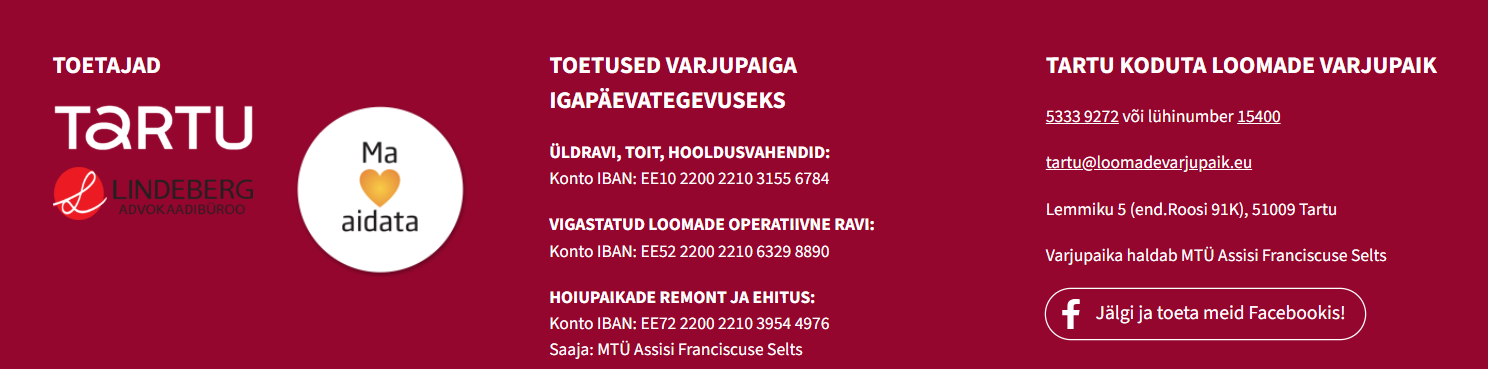 Virmalised või kiirnuudlid? – Unikaalne kunstiteos, kus pintslina on kasutatud kiirnuudleid (50% tulust heategevuseks)